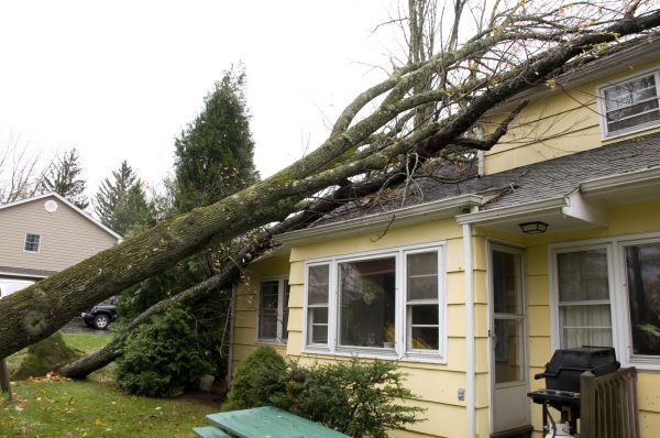 Hurricane Damage Repair in Lancaster